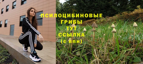 МДПВ Верхний Тагил