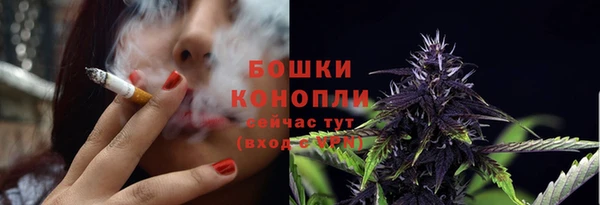 МДПВ Верхний Тагил