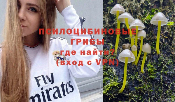 бутират Верея
