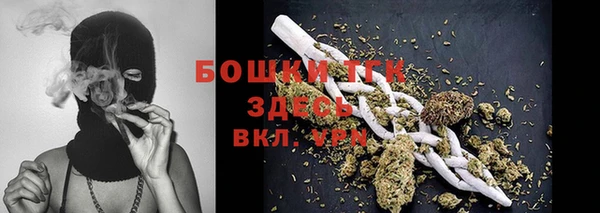 МДПВ Верхний Тагил